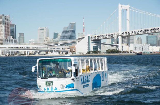 Kaba bus tại Odaiba