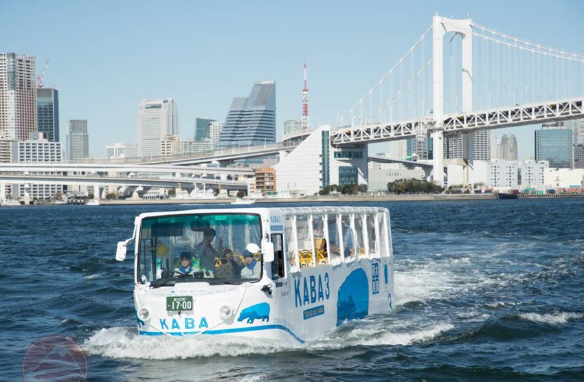 Kaba bus tại Odaiba