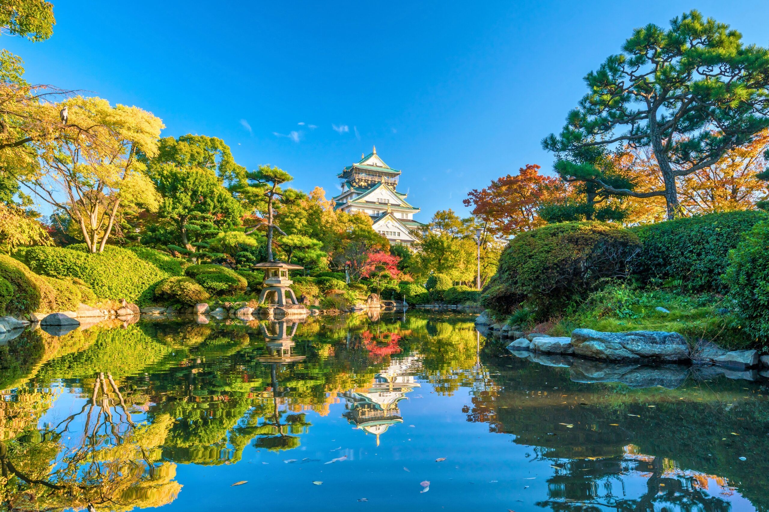 Ngắm lá đỏ tại Lâu đài Osaka