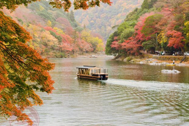  Kyoto – Nét đẹp mùa thu 