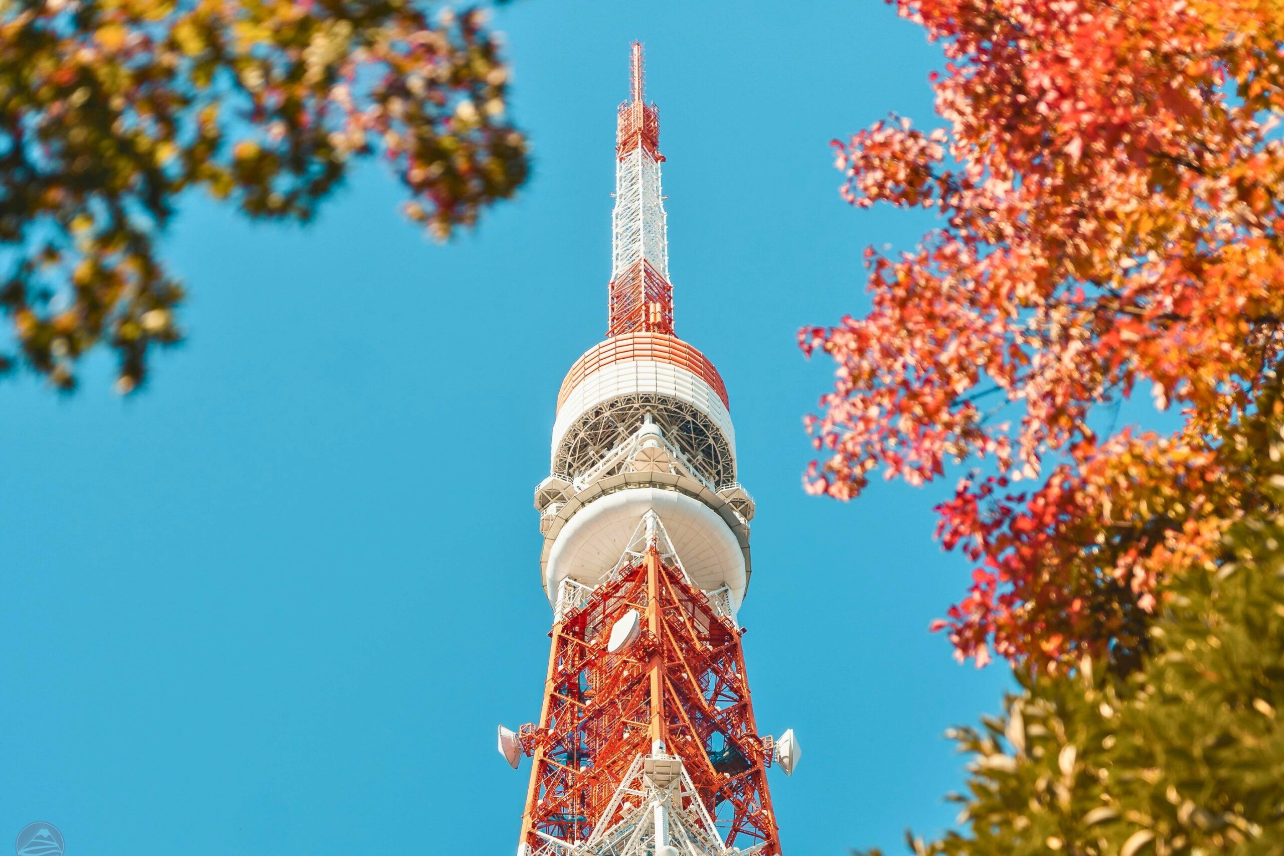 Tokyo – Nhịp thu giữa lòng thành phố