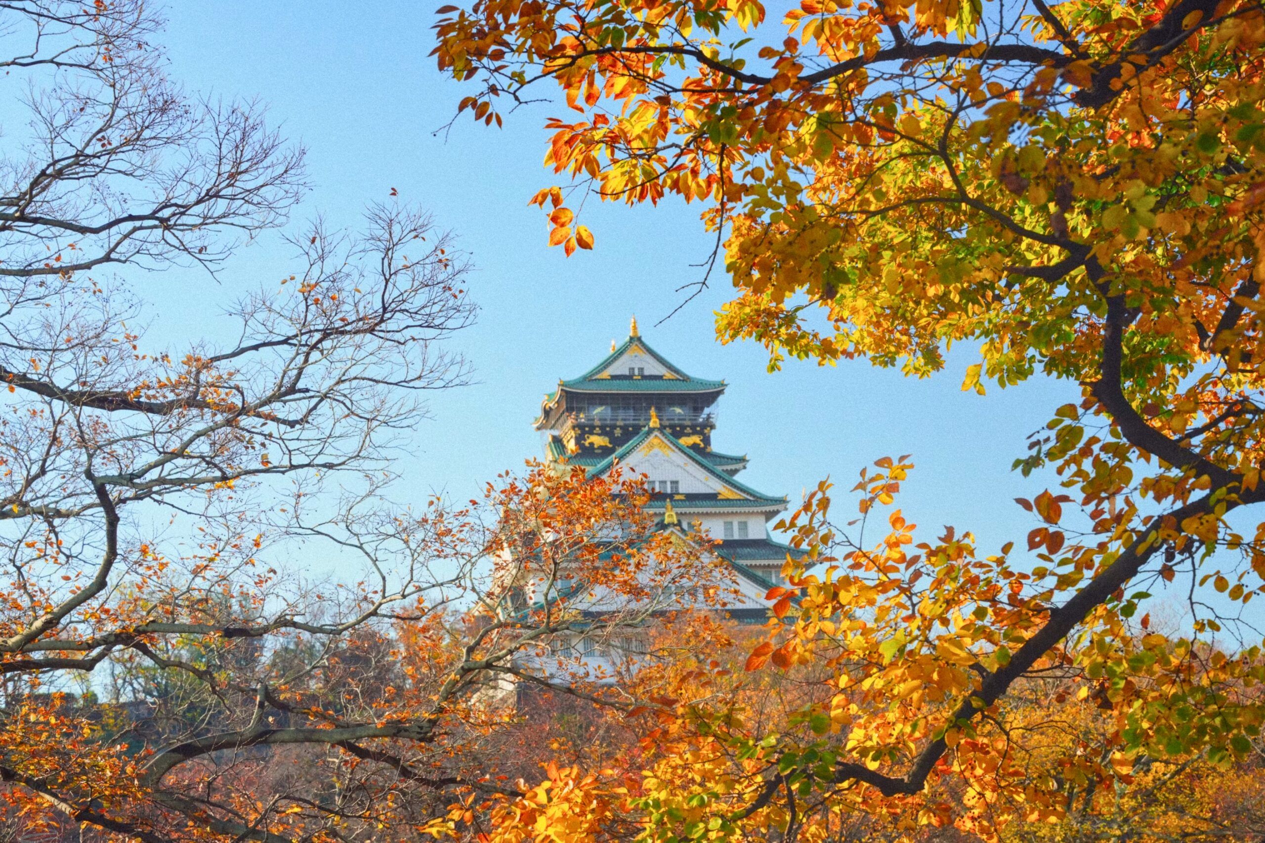Osaka – Mùa thu kết hợp trải nghiệm đô thị