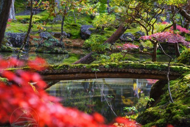 Osaka mùa thu