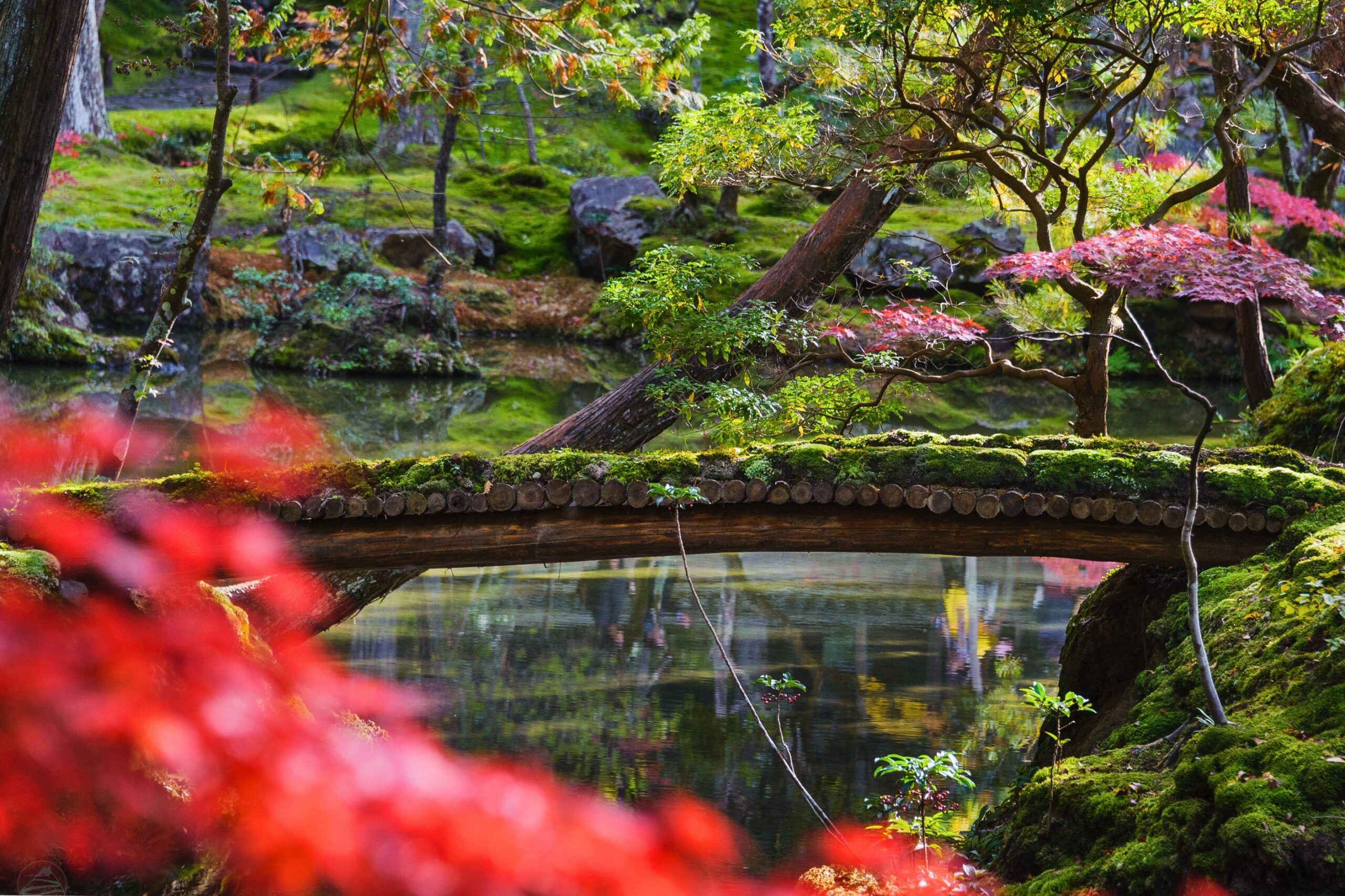 Osaka mùa thu