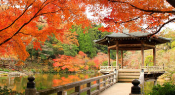 DU LỊCH NHẬT BẢN MÙA THU: HÀ NỘI – PHÚ SĨ – TOKYO – HÀ NỘI | 5N4Đ | Bay: VNA | Giá: 33,9 triệu