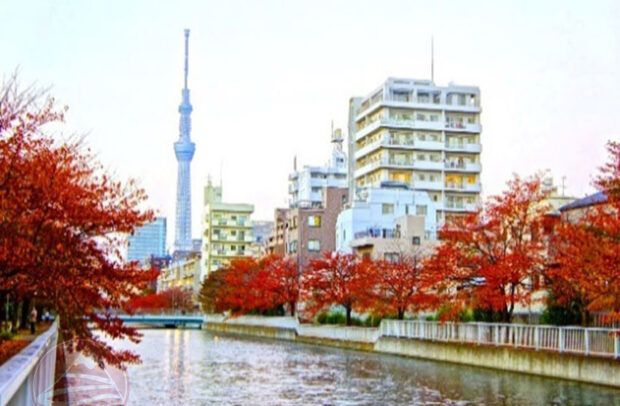 Tokyo Skytree