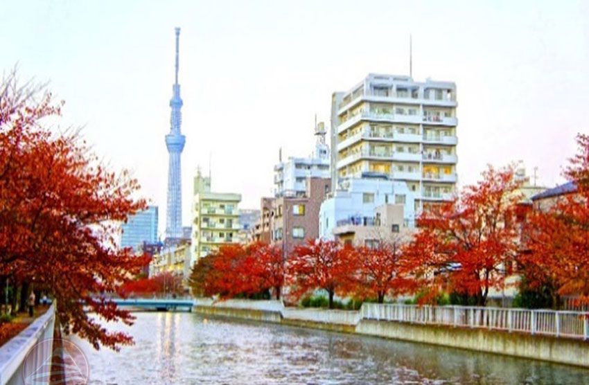 Tokyo Skytree