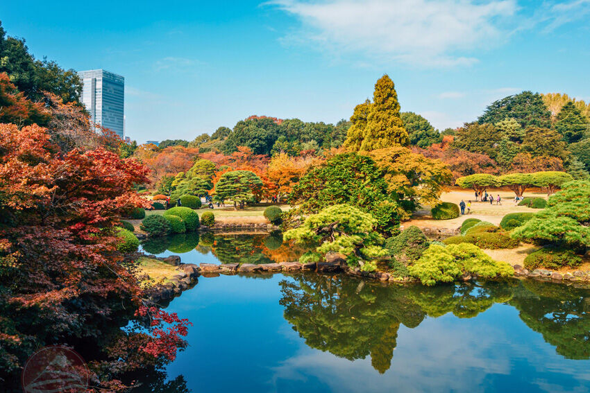 Shinjuku Gyoen – Công viên mùa thu giữa lòng Tokyo