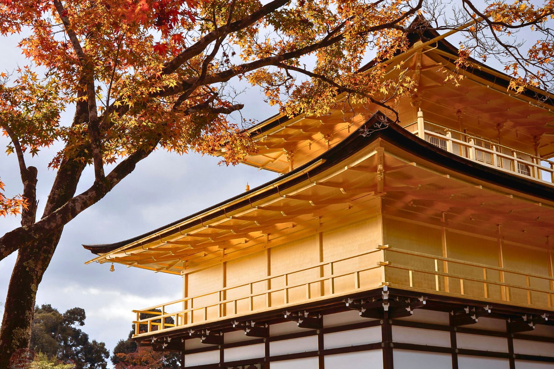 Chùa Kinkaku-ji (Chùa Vàng)