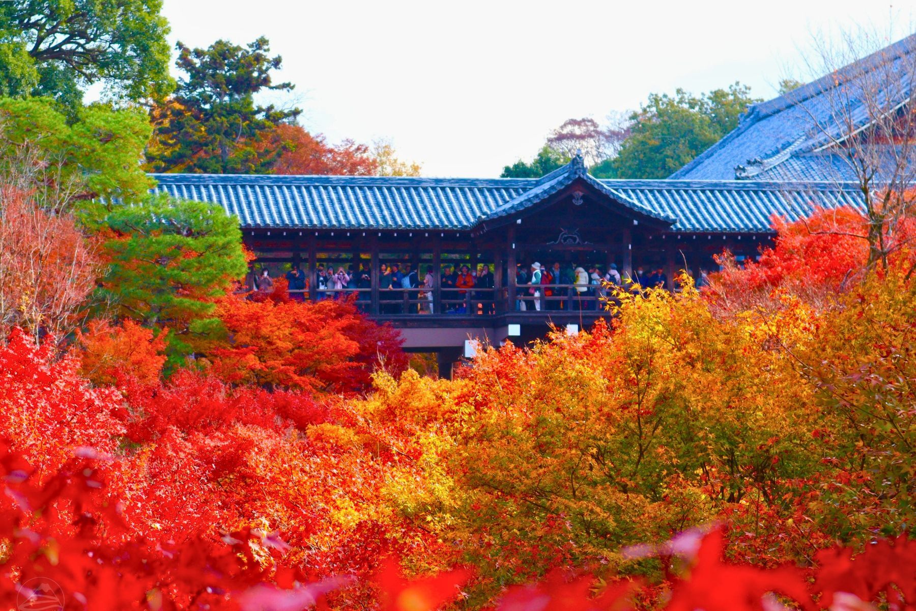 Chùa Tofuku-ji