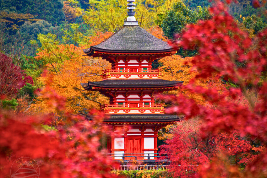 Chùa Kiyomizu-dera – Góc nhìn Kyoto từ trên cao