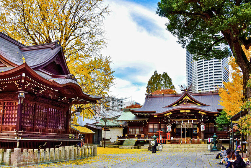 Tokyo – Hiện đại giữa sắc thu dịu dàng