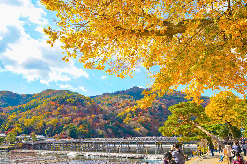 Arashiyama – Bức tranh sơn thủy mùa thu