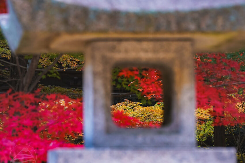 Osaka – Kyoto – Núi Phú Sĩ – Tokyo luôn được gọi là “cung đường vàng” của Nhật Bản