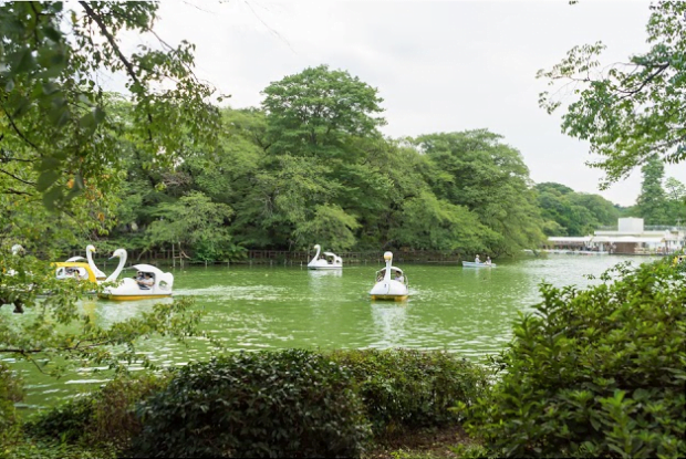 Công viên Inokashira