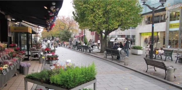 Phía Nam khu phố Jiyugaoka