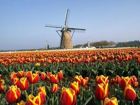 8.-佐倉ふるさと広場