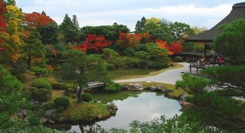 Chơi ở đâu, làm gì khi chỉ có 1 ngày ở Kyoto