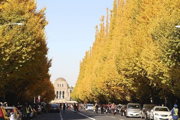 du lịch hokkaido mùa thu 6 ngày 5 đêm