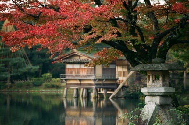 Kanazawa-Autumn-3822-752