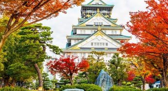 Tour du lịch Nhật Bản giá rẻ nhất từ 22.9 triệu: TP. HCM và Hà Nội tới Osaka