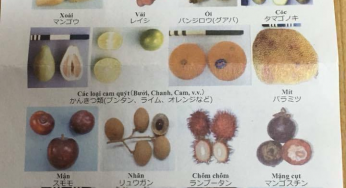 Những loại thực phẩm bị cấm mang vào Nhật Bản từ 1/10/2018