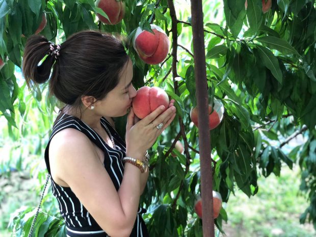 Du lịch Nhật Bản Tết dương lịch