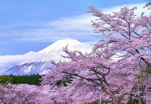 Núi Phú Sĩ - Biểu tượng của đất nước Nhật Bản