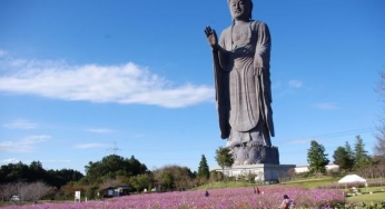 Những Bức Tượng Phật Nổi Tiếng Trên Đất Nước Nhật Bản