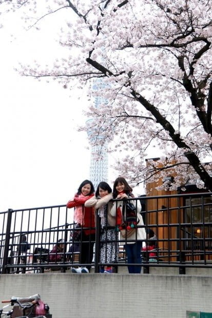 Tháp Tokyo Skytree lấp sau tán anh đào