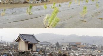 Nhật Bản 5 năm sau thảm họa Fukushima