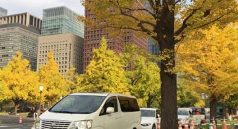 Xe riêng đưa đón sân bay Osaka, Kansai, Nhật bản