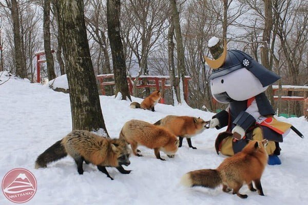 cao-nhat-ban_lang-Zao-Kitsune_Miyagi