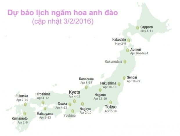 cap-nhat-lich-ngam-hoa-anh-dao