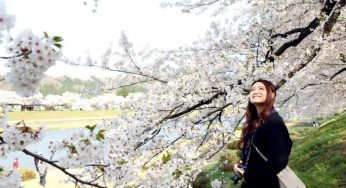 Du lịch Nhật bản tour riêng theo yêu cầu cho công ty, gia đình và nhóm bạn
