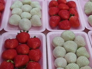 dau-tay-gia-nhatbanaz