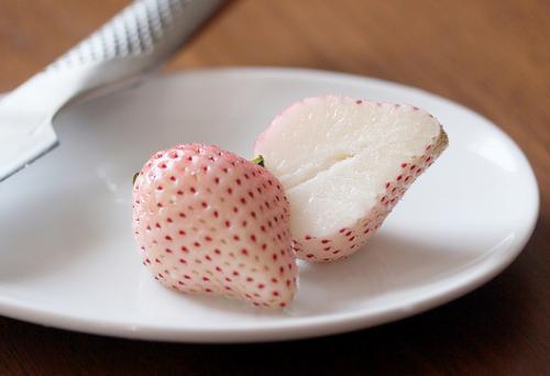 dau-tay-trang1-nhatbanaz