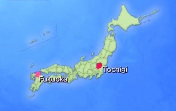 dau-tay-trang2-nhatbanaz