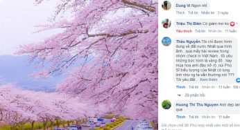 Chung kết WhyJapan: 5 vé máy bay đi Nhật miễn phí