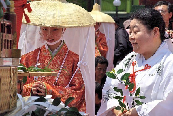 fox-wedding-parade-338