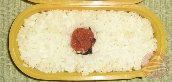 japan-flag-bento-64