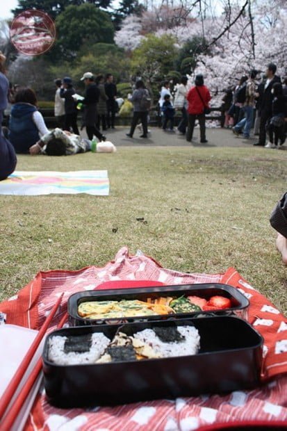 japans-fav-pastime-and-food-together-64