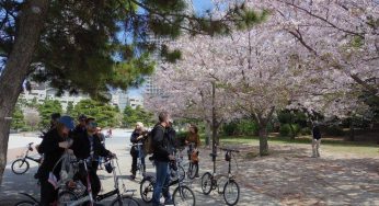 Tour khám phá Tokyo bằng xe đạp: một góc nhìn mới lạ