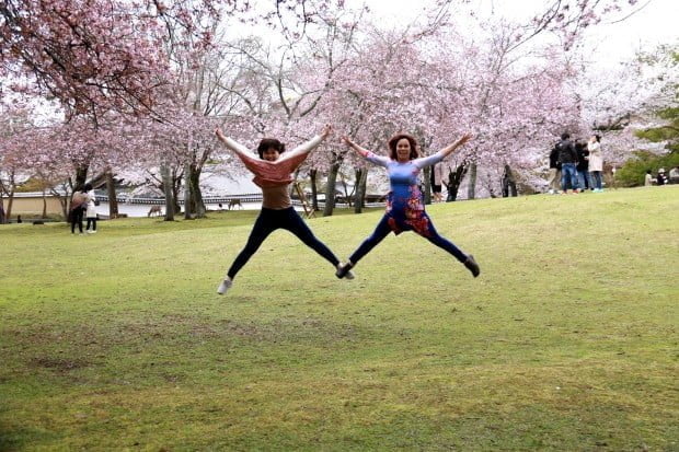 Khó đỡ. Tin từ Đài truyền hình Nhật: xuất hiện người bay trong lễ hội Sakura