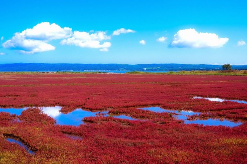 kinh nghiệm du lịch Hokkaido