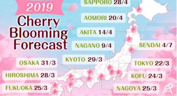 Những lưu ý khi đi du lịch Nhật Bản từ 2019