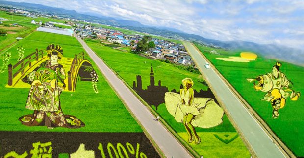 nghệ thuật Tanbo Nhật Bản