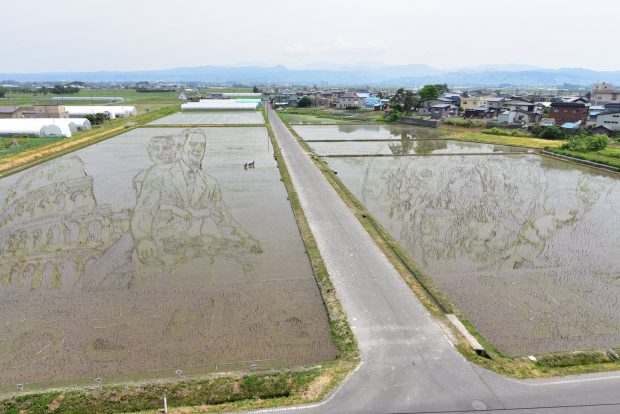 nghệ thuật Tanbo Nhật Bản