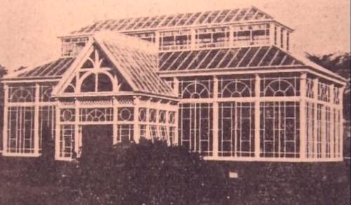 nha-kinh-trong-dau-nhatbanaz