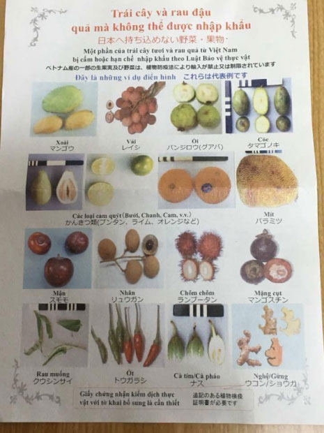 Nữ sinh bị bắt vì mang 360 quả trứng vịt lộn vào Nhật